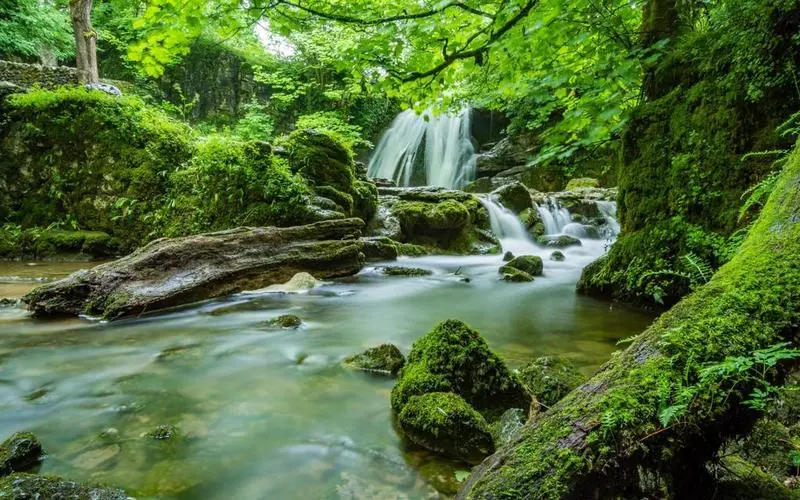 智能系统高性能可靠性
